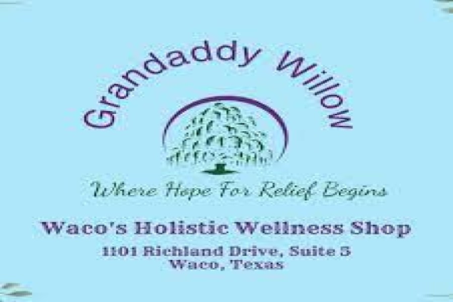 Grandaddy Willow