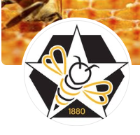 Texas Beekeepers Association