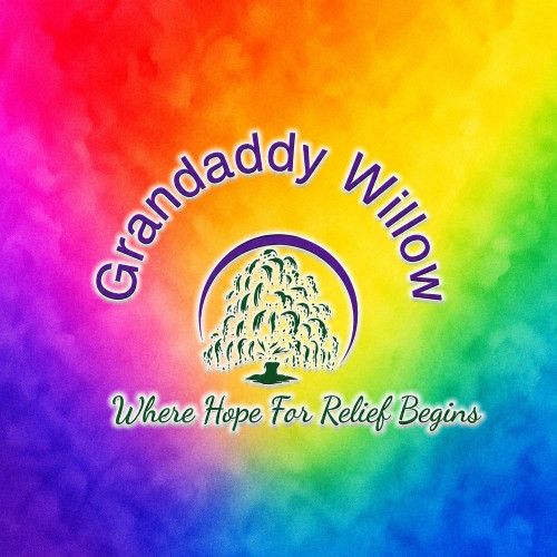 Grandaddy Willow