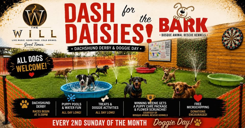 A promotional flyer for a dog event featuring dachshunds playing in a grassy area in McLennan County, Texas.
