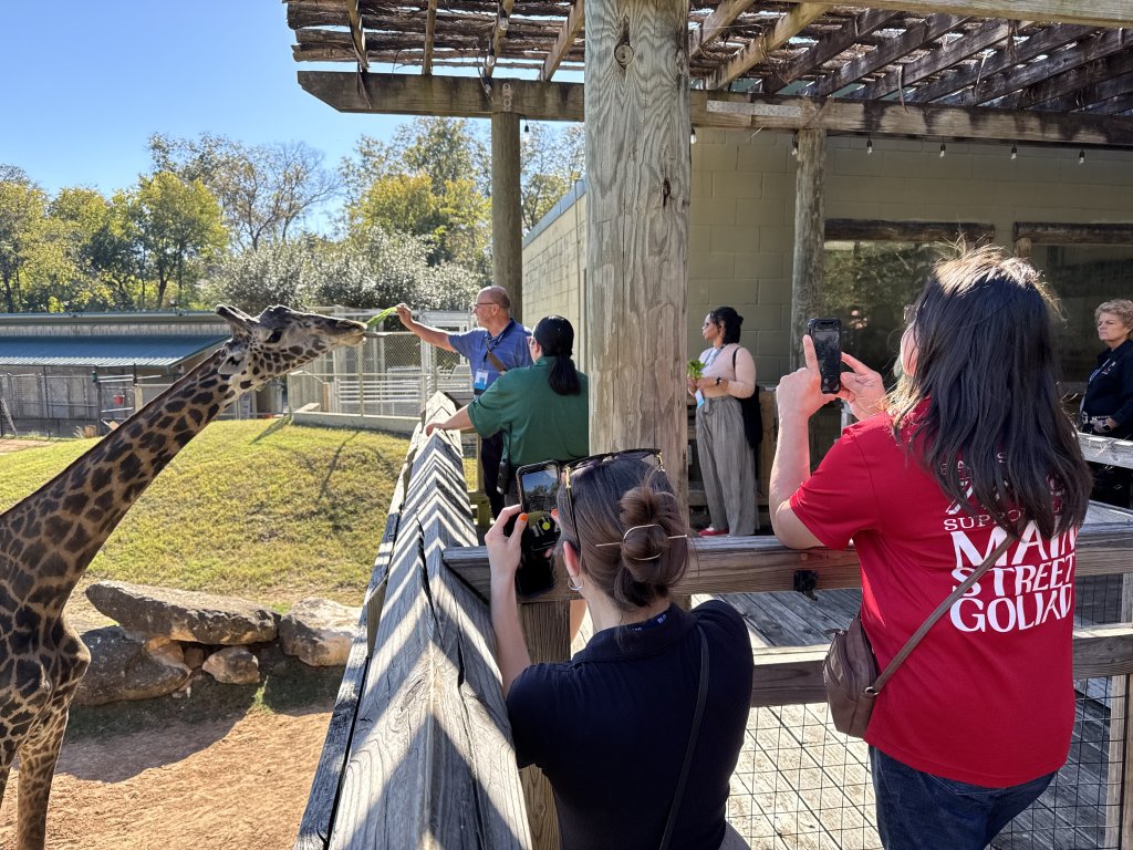 People at a zoo taking photos while a man feeds a giraffe in McLennan County, Texas.