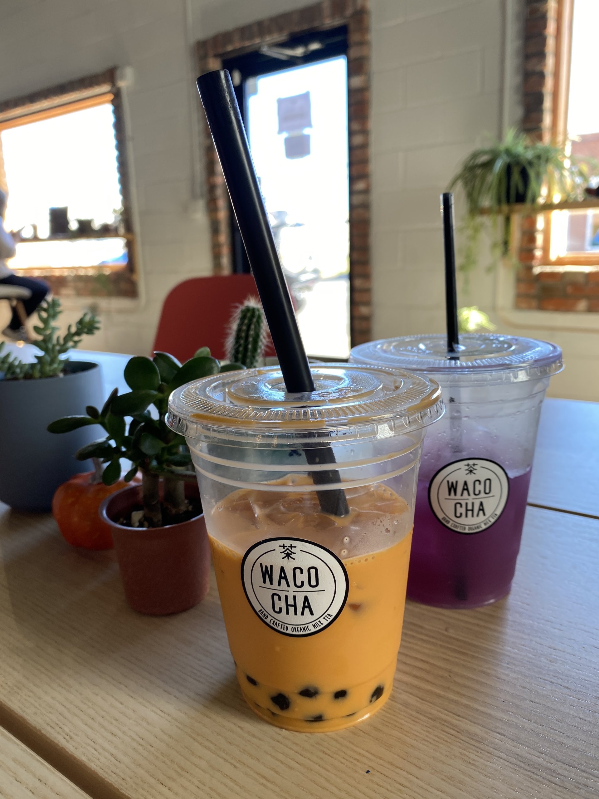 Two plastic cups of boba tea sit on a table next to small potted plants in McLennan County, Texas.