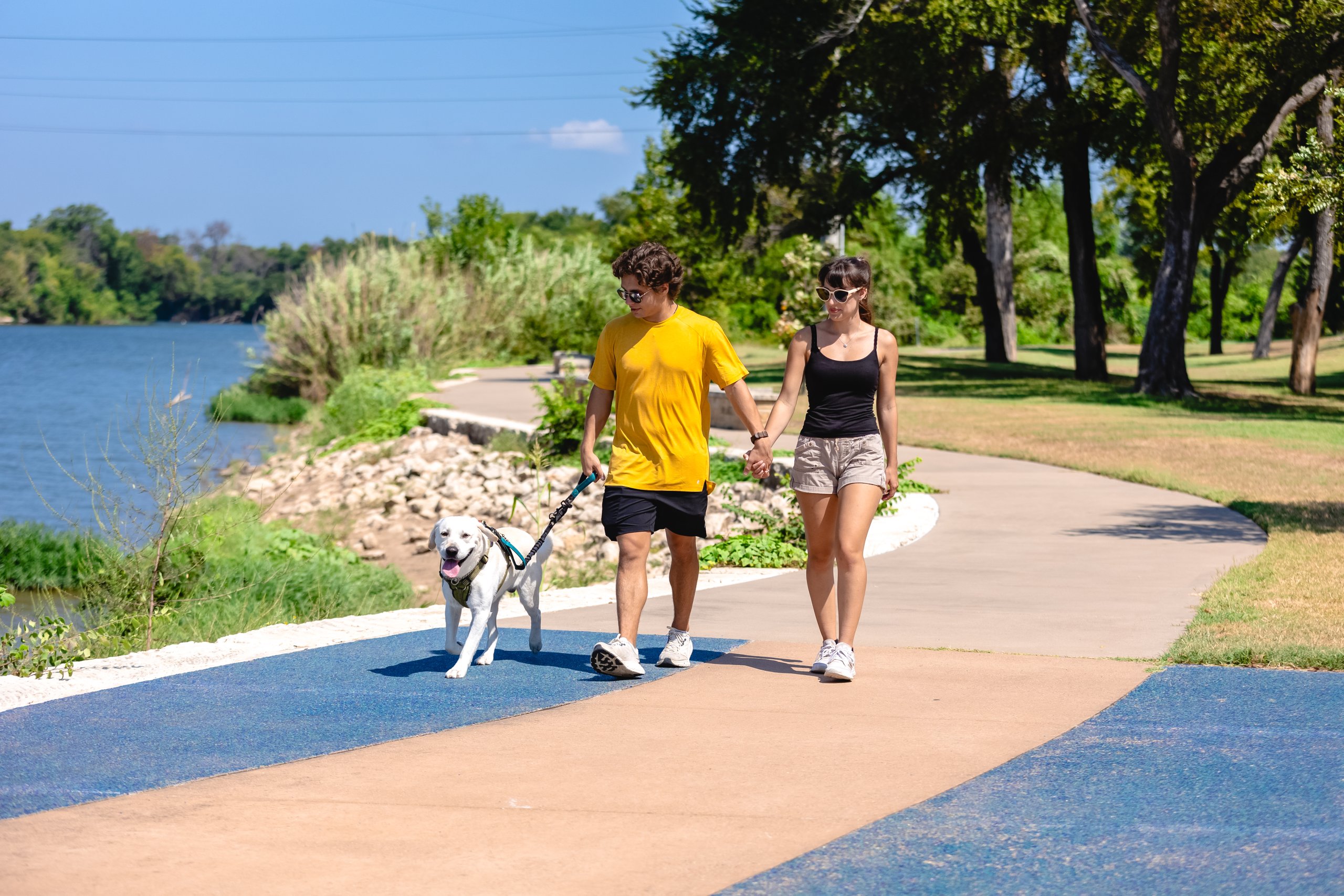 A young couple holds hands while walking their white dog along a park path in McLennan County, Texas.