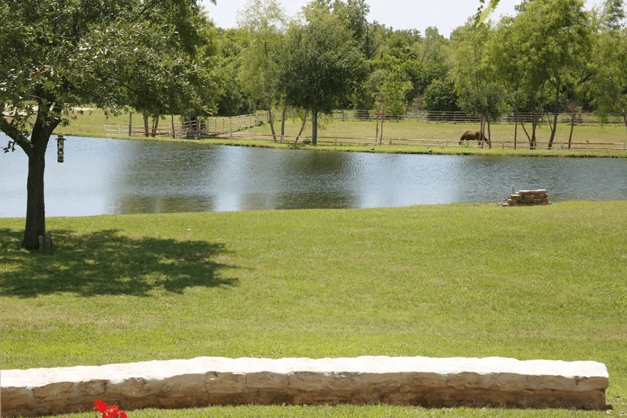 A peaceful pond surrounded by green grass and trees with a horse grazing nearby in McLennan County, Texas.