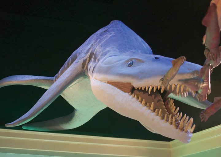 A large model of a prehistoric marine reptile with its mouth open in McLennan County, Texas.