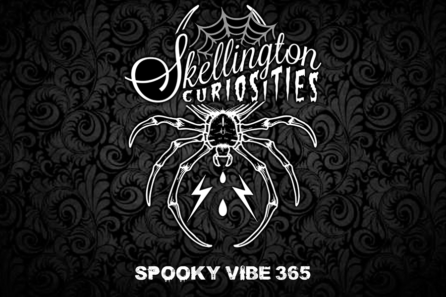 A logo for Skellington Curiosities featuring a spider, web, and lightning bolts on damask background in McLennan County, Texas.
