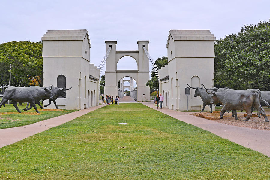 Bronze longhorn cattle statues stand before a large, arched suspension bridge entrance in McLennan County, Texas.