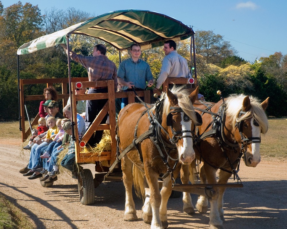 A group of people riding on a horse-drawn wagon on a sunny day in McLennan County, Texas.