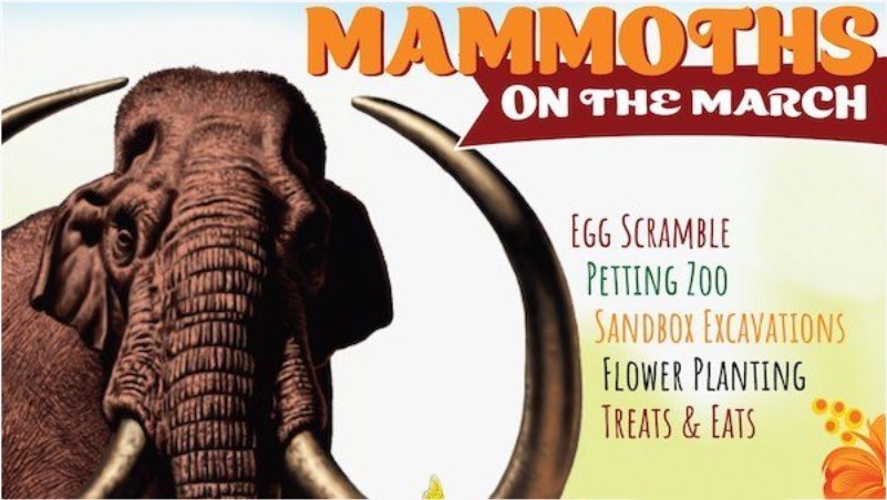 A promotional poster for an event titled Mammoths on the March featuring a mammoth illustration in McLennan County, Texas.