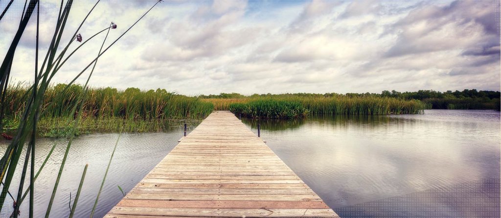 A wooden pier extends into a calm lake surrounded by tall green reeds in McLennan County, Texas.