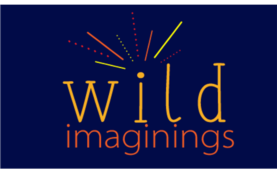 The text 'wild imaginings' with colorful lines radiating above it on a dark background in McLennan County, Texas.