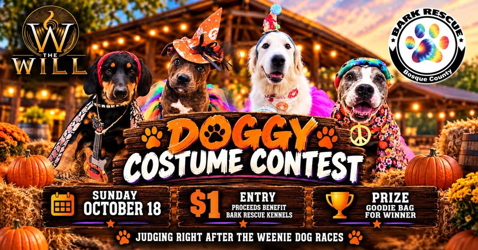 Four dogs in costumes posing for a doggy costume contest event flyer in McLennan County, Texas.