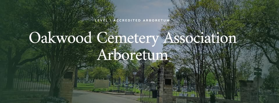 The entrance to Oakwood Cemetery Association Arboretum with lush trees and a stone gate in McLennan County, Texas.