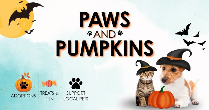 A Halloween-themed graphic featuring a cat and dog wearing witch hats with pumpkins in McLennan County, Texas.