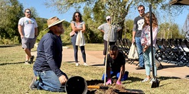 A group of people watching a child plant a young tree in a park in McLennan County, Texas.