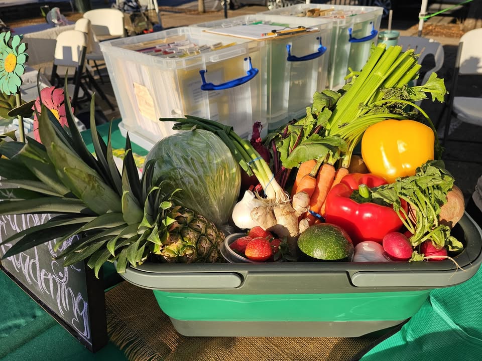 A green basket filled with a variety of fresh vegetables and a pineapple in McLennan County, Texas.