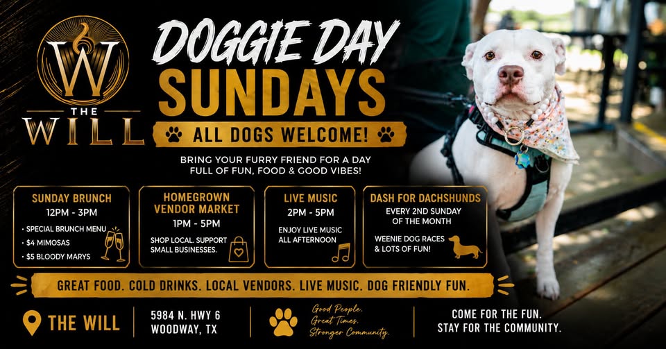 A promotional flyer for Doggie Day Sundays featuring a white dog wearing a bandana in McLennan County, Texas.