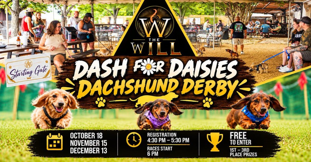 A promotional flyer for a dachshund derby event featuring racing dogs and event details in McLennan County, Texas.